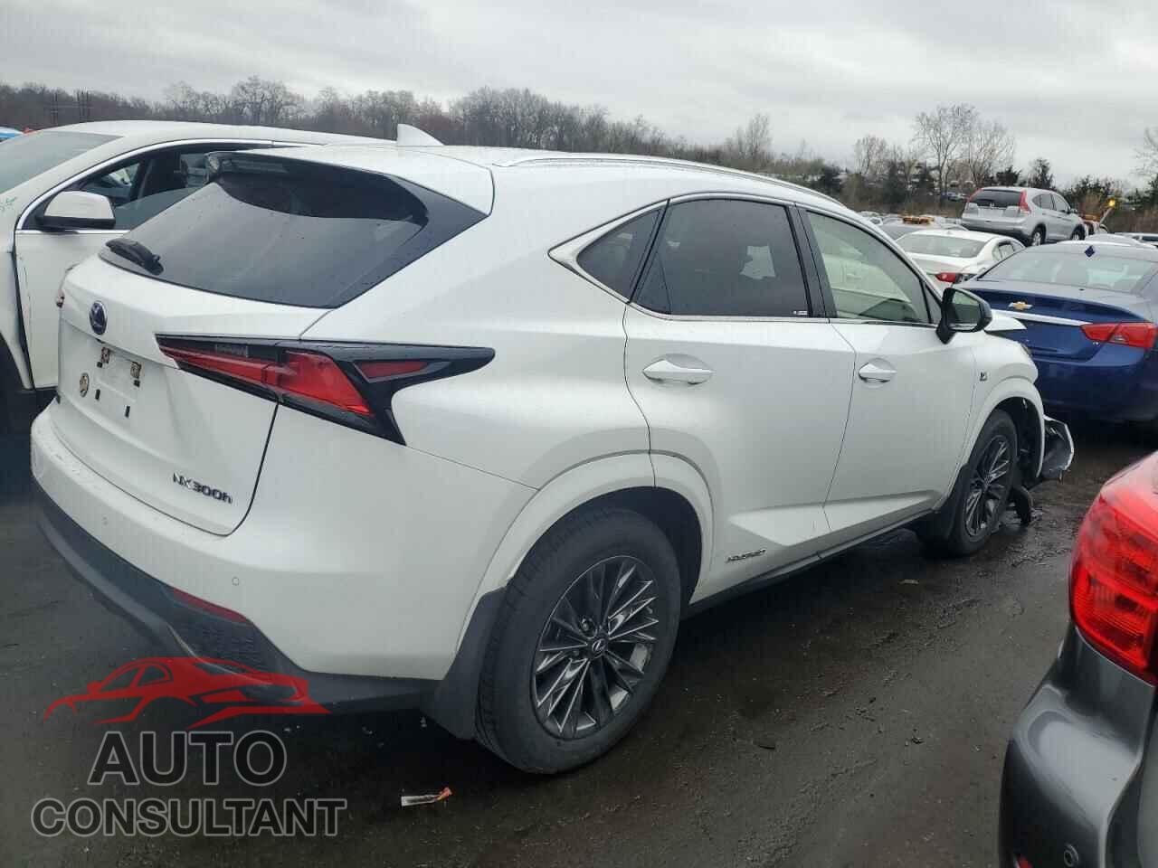 LEXUS NX 2021 - JTJSJRDZ8M5013572