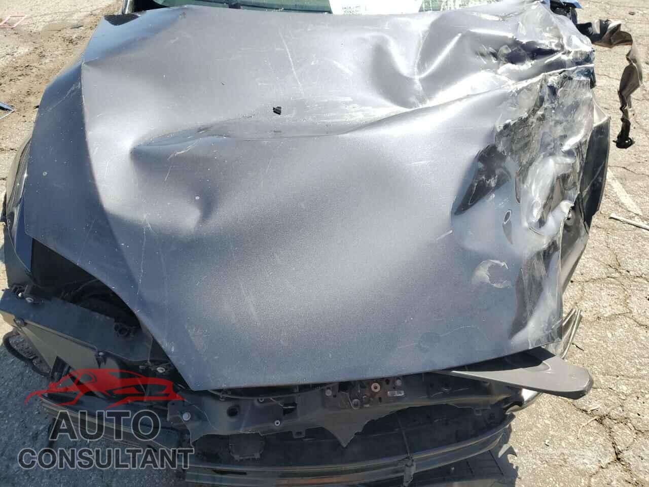 TESLA MODEL S 2019 - 5YJSA1E4XKF302097