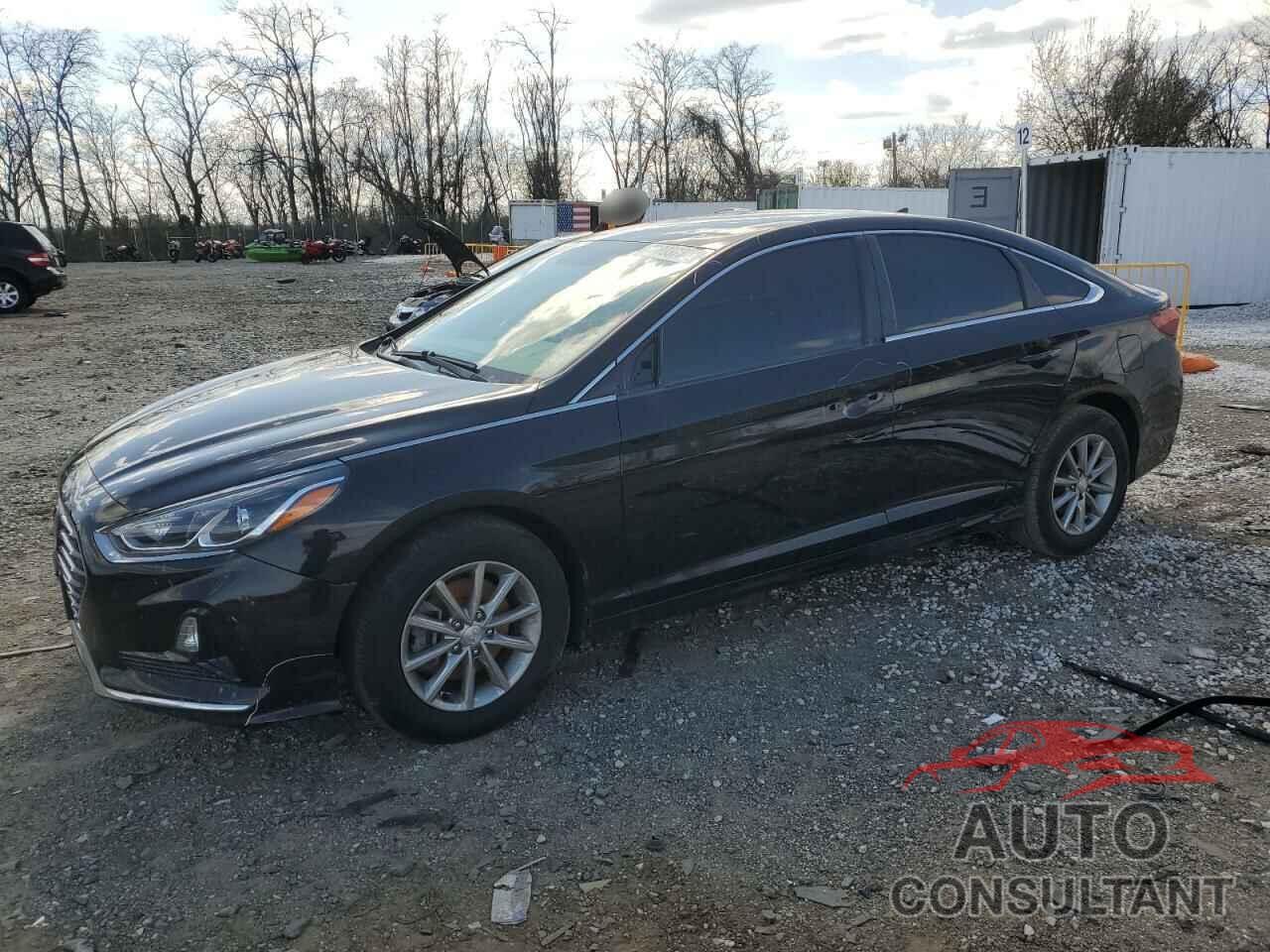 HYUNDAI SONATA 2019 - 5NPE24AF7KH816901