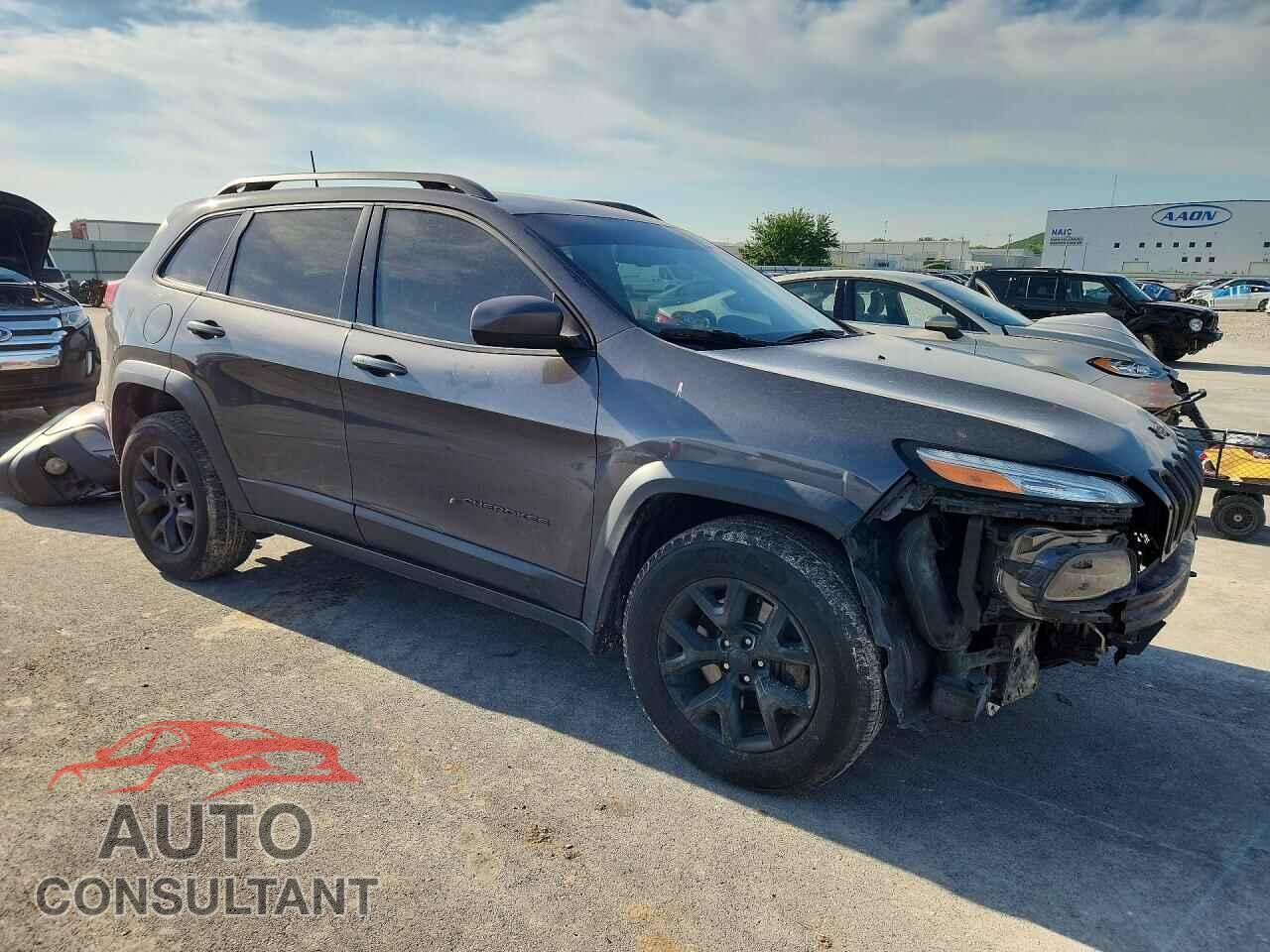 JEEP CHEROKEE 2016 - 1C4PJMBS8GW365051
