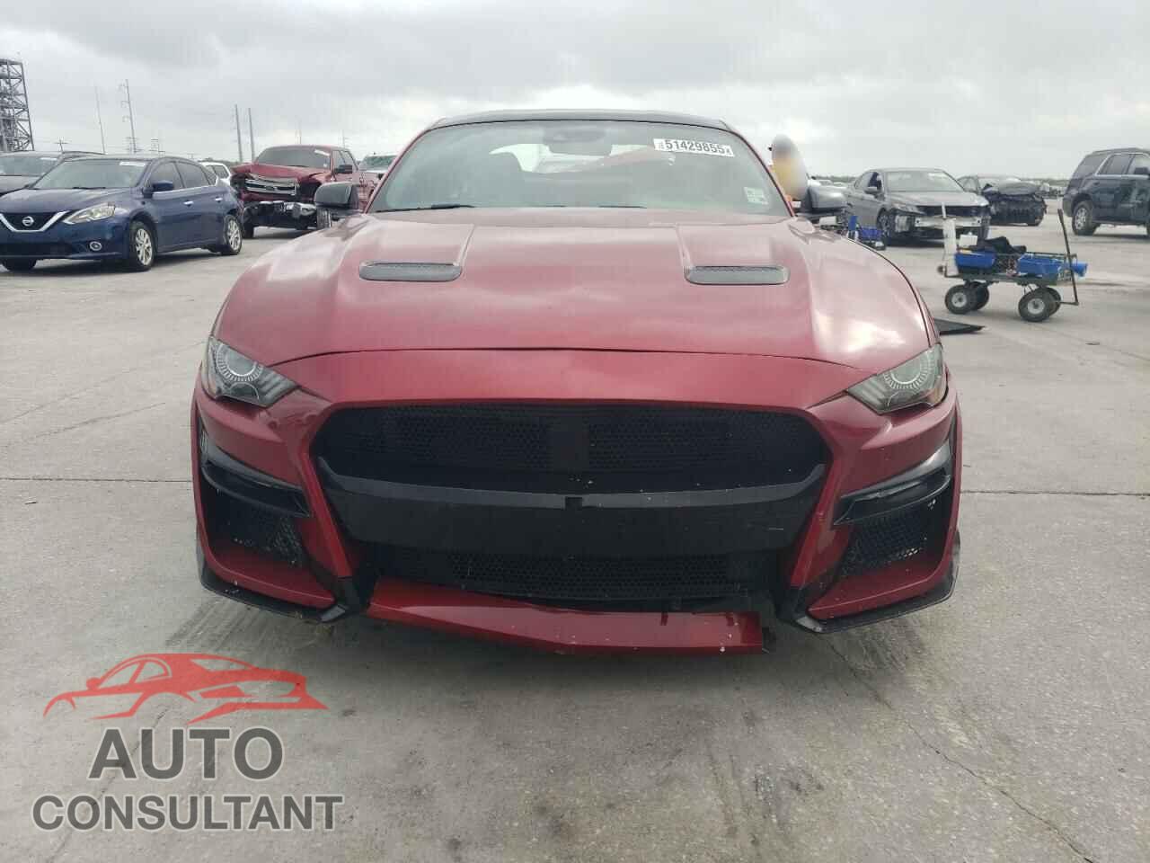 FORD MUSTANG 2019 - 1FA6P8CF3K5116986