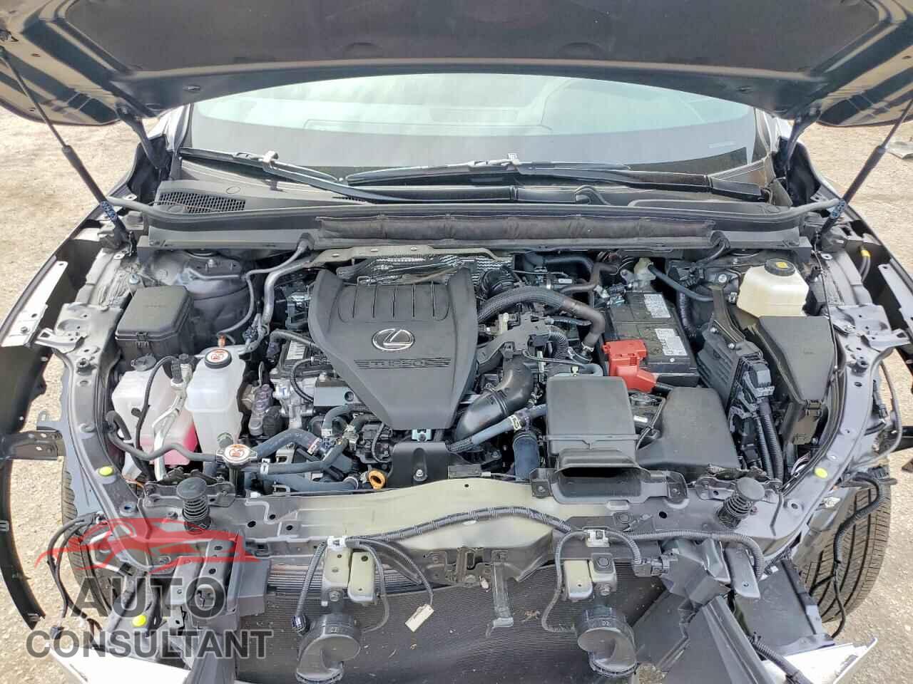 LEXUS RX350 2025 - 2T2BAMBA9SC067655