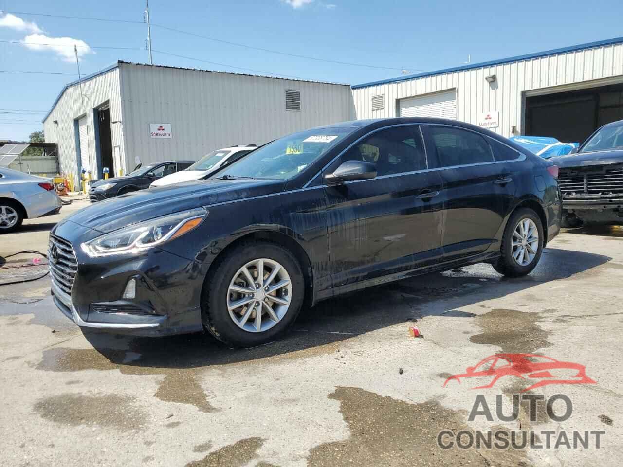 HYUNDAI SONATA 2019 - 5NPE24AF7KH736014