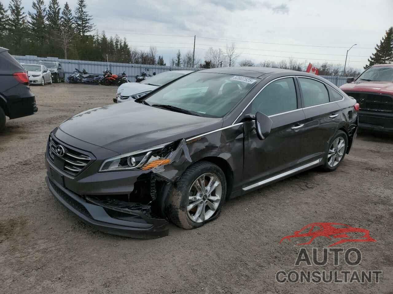 HYUNDAI SONATA 2017 - 5NPE34AB7HH472182