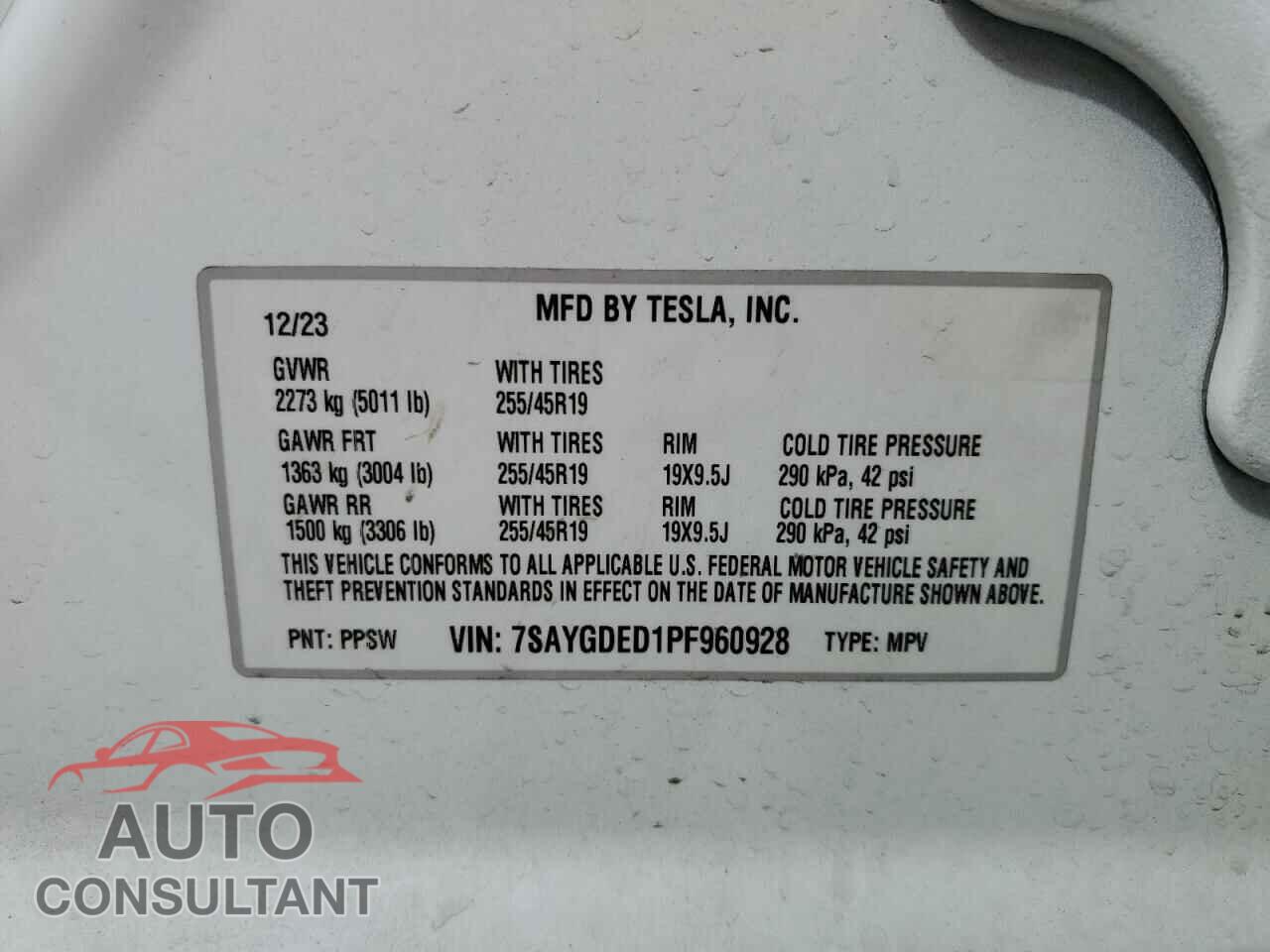 TESLA MODEL Y 2023 - 7SAYGDED1PF960928
