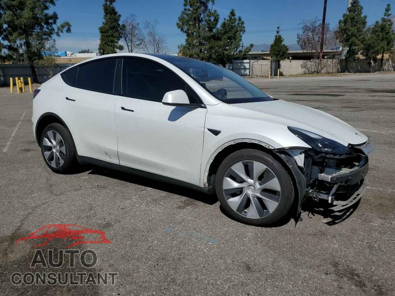 TESLA MODEL Y 2022 - 7SAYGDEE8NF551850
