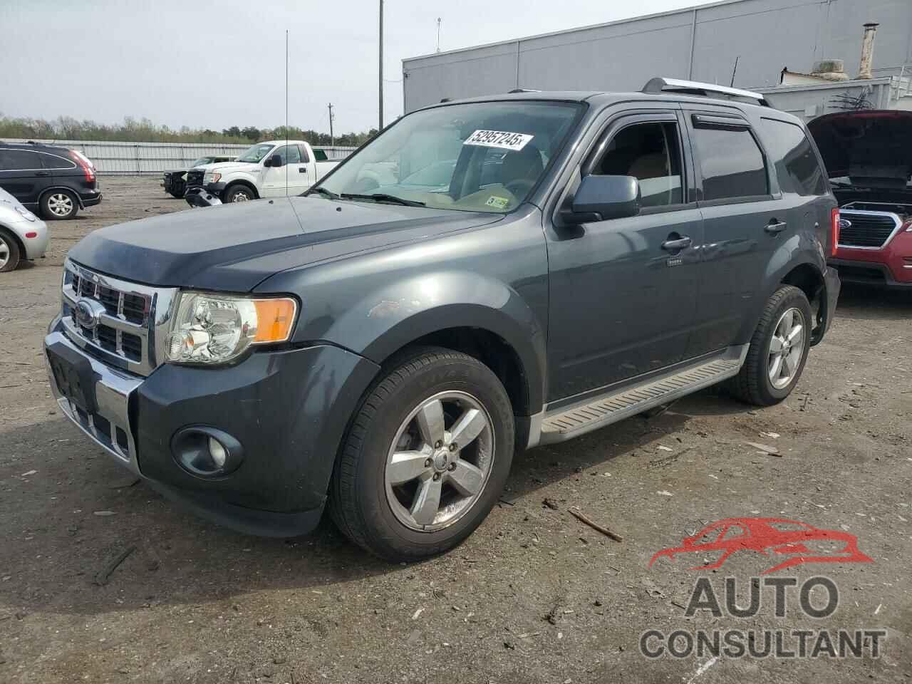 FORD ESCAPE 2009 - 1FMCU04G09KD13460