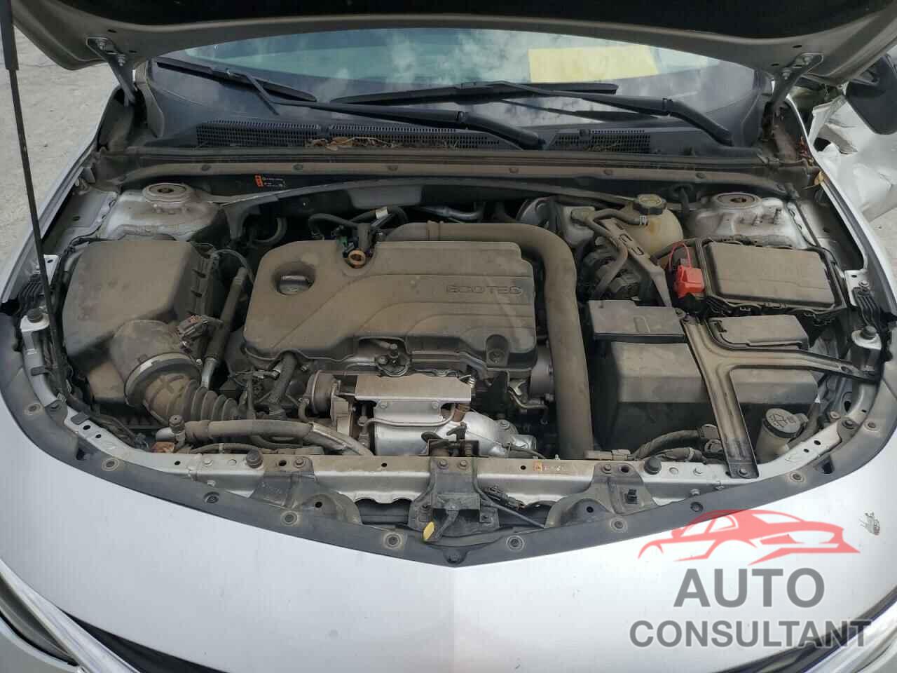 CHEVROLET MALIBU 2019 - 1G1ZB5ST1KF226319