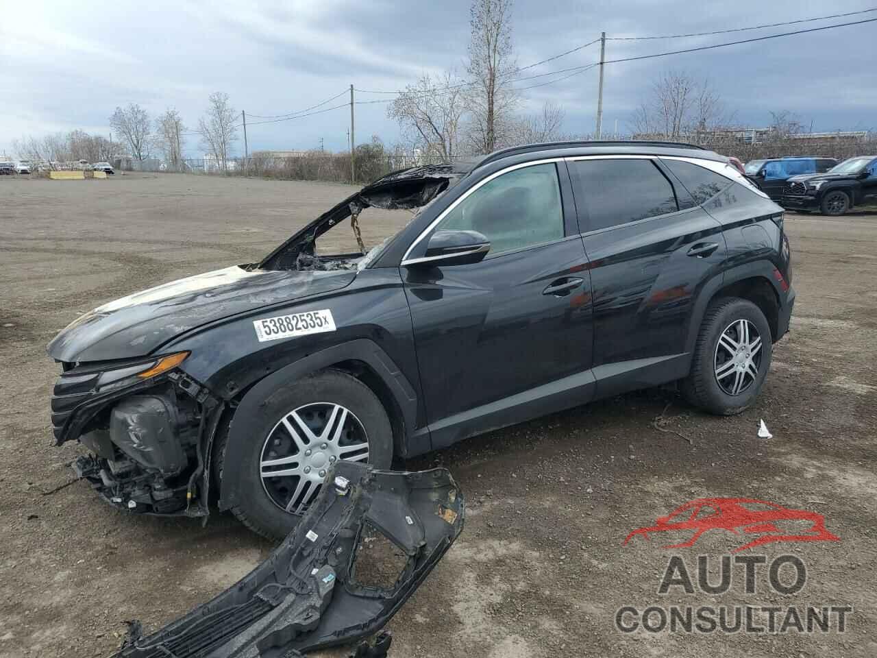 HYUNDAI TUCSON 2022 - KM8JCCA13NU025216