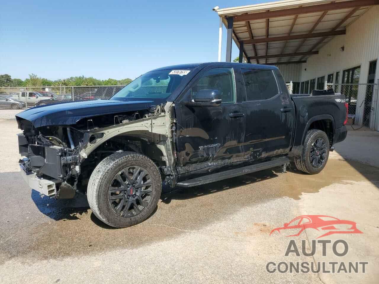 TOYOTA TUNDRA 2024 - 5TFLA5DB2RX156208