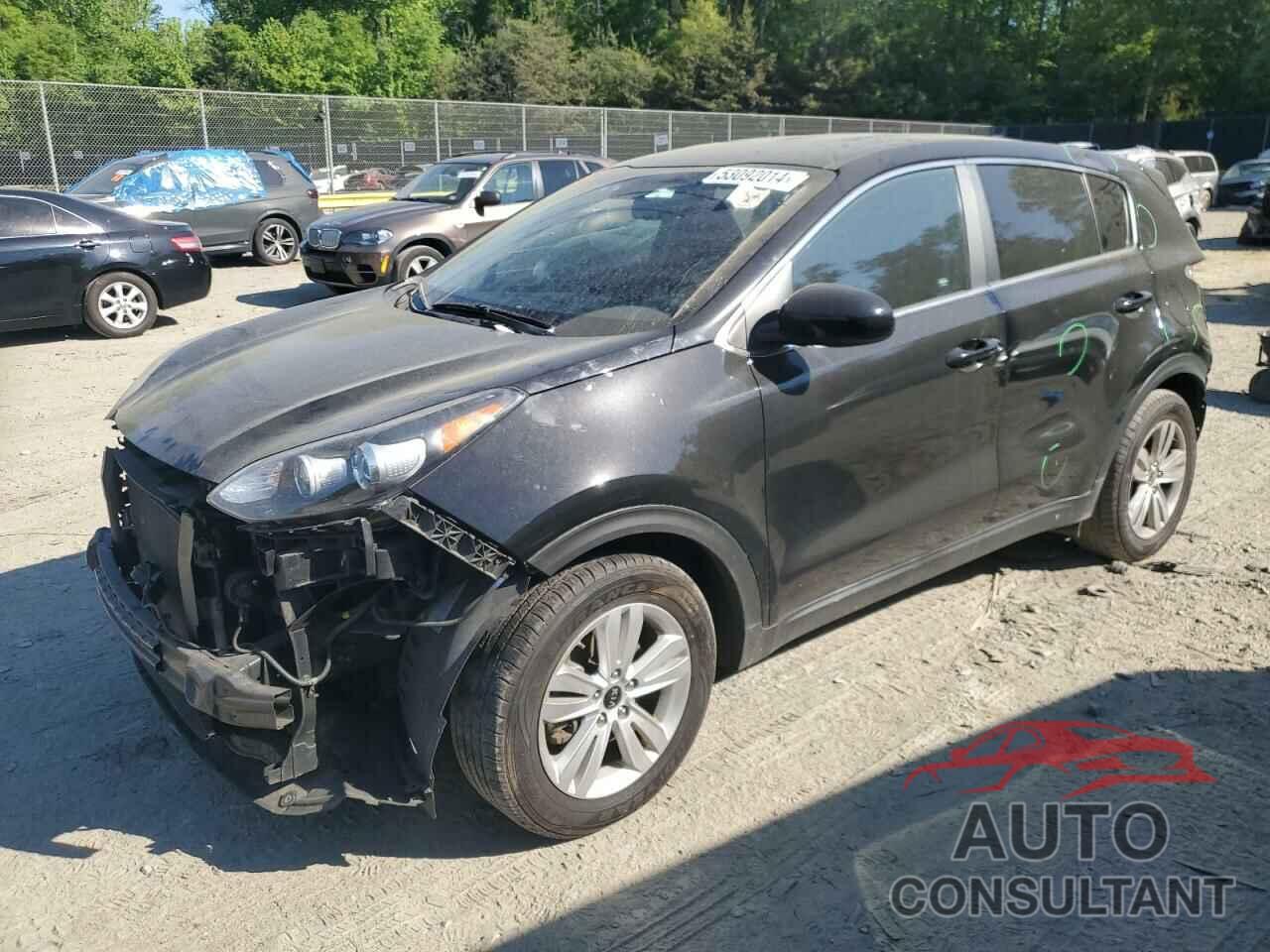 KIA SPORTAGE 2017 - KNDPM3AC4H7163055