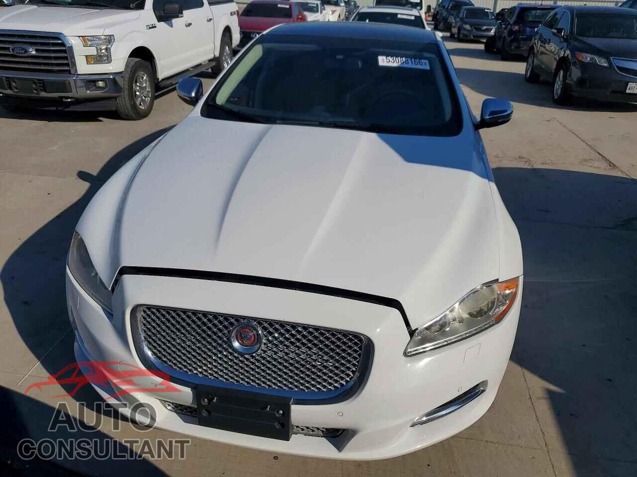 JAGUAR XJ 2015 - SAJWJ2GD3F8V84238