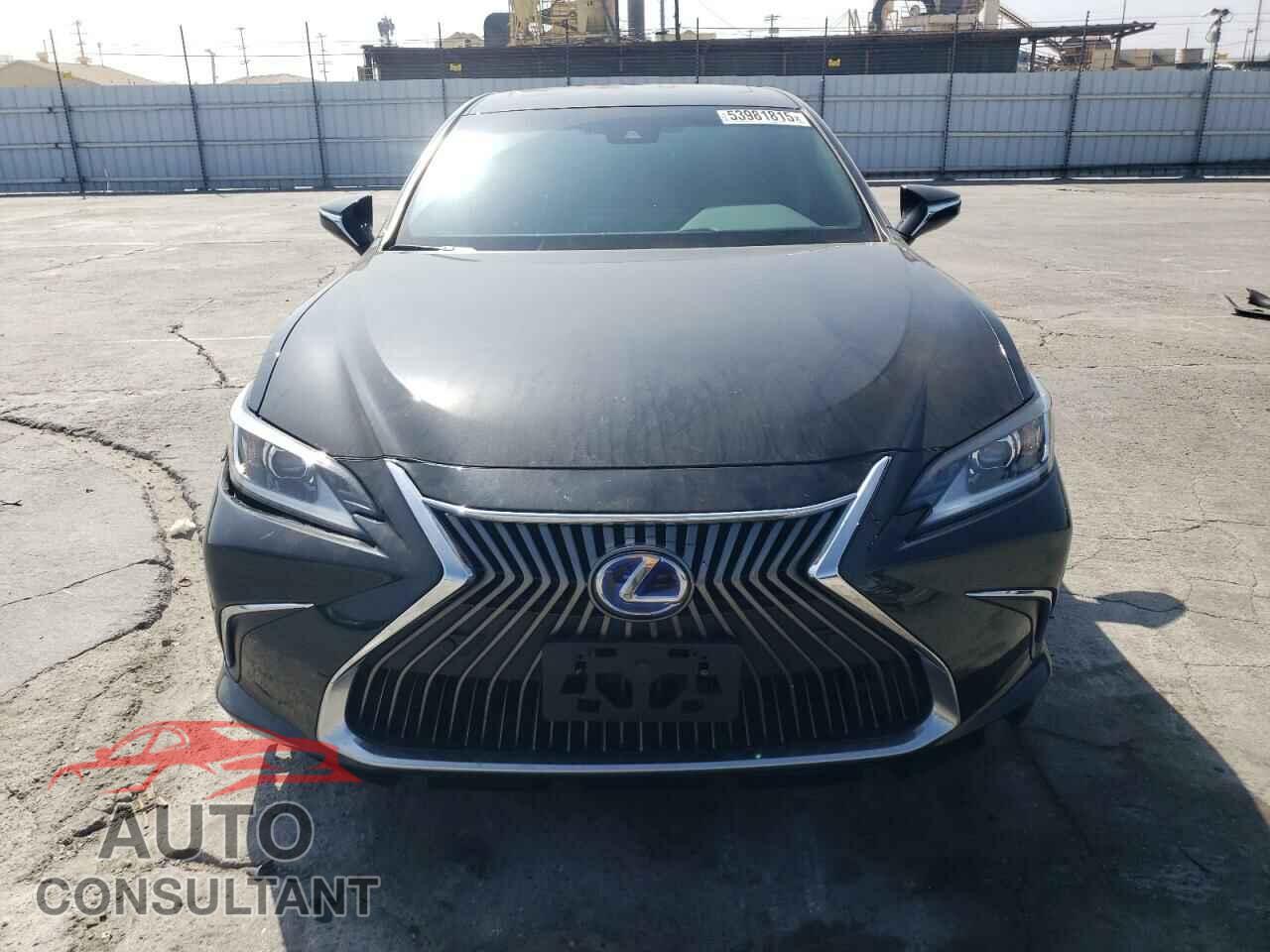 LEXUS ES300 2024 - 58ADA1C19RU049992