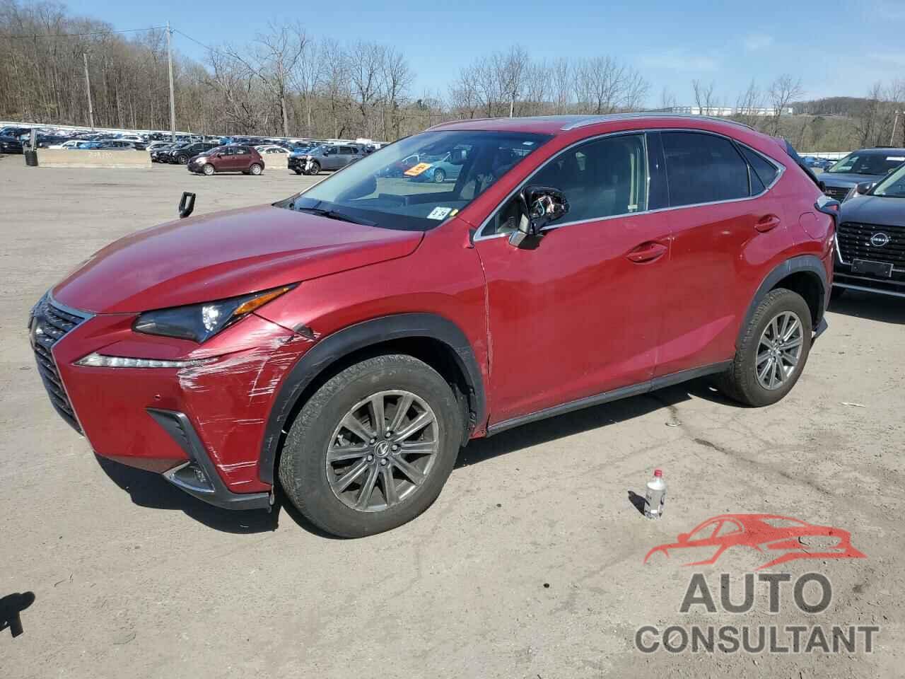 LEXUS NX 2019 - JTJBARBZ5K2189772