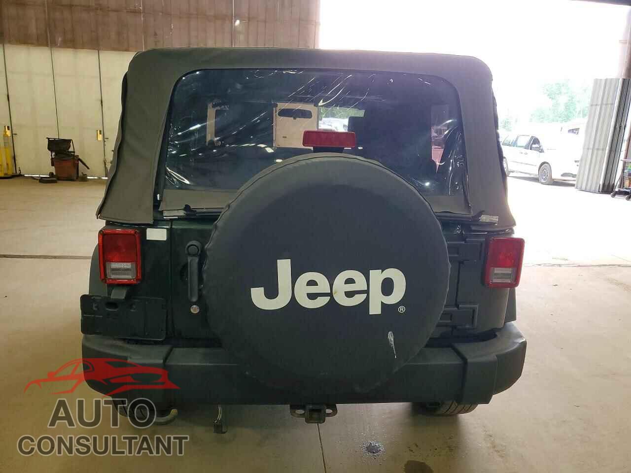 JEEP WRANGLER 2010 - 1J4AA2D11AL196699