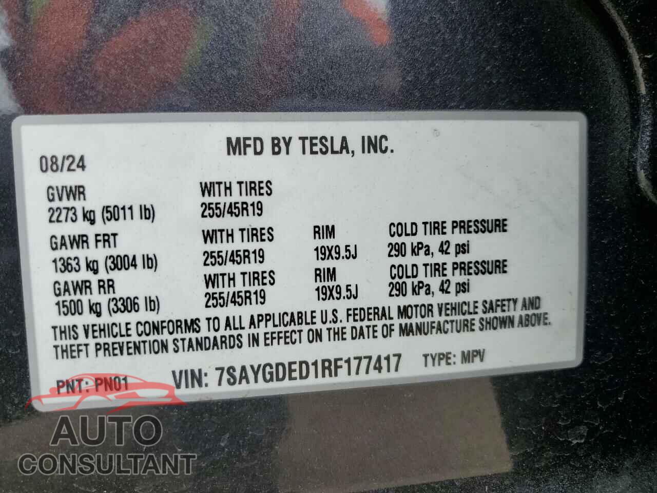 TESLA MODEL Y 2024 - 7SAYGDED1RF177417