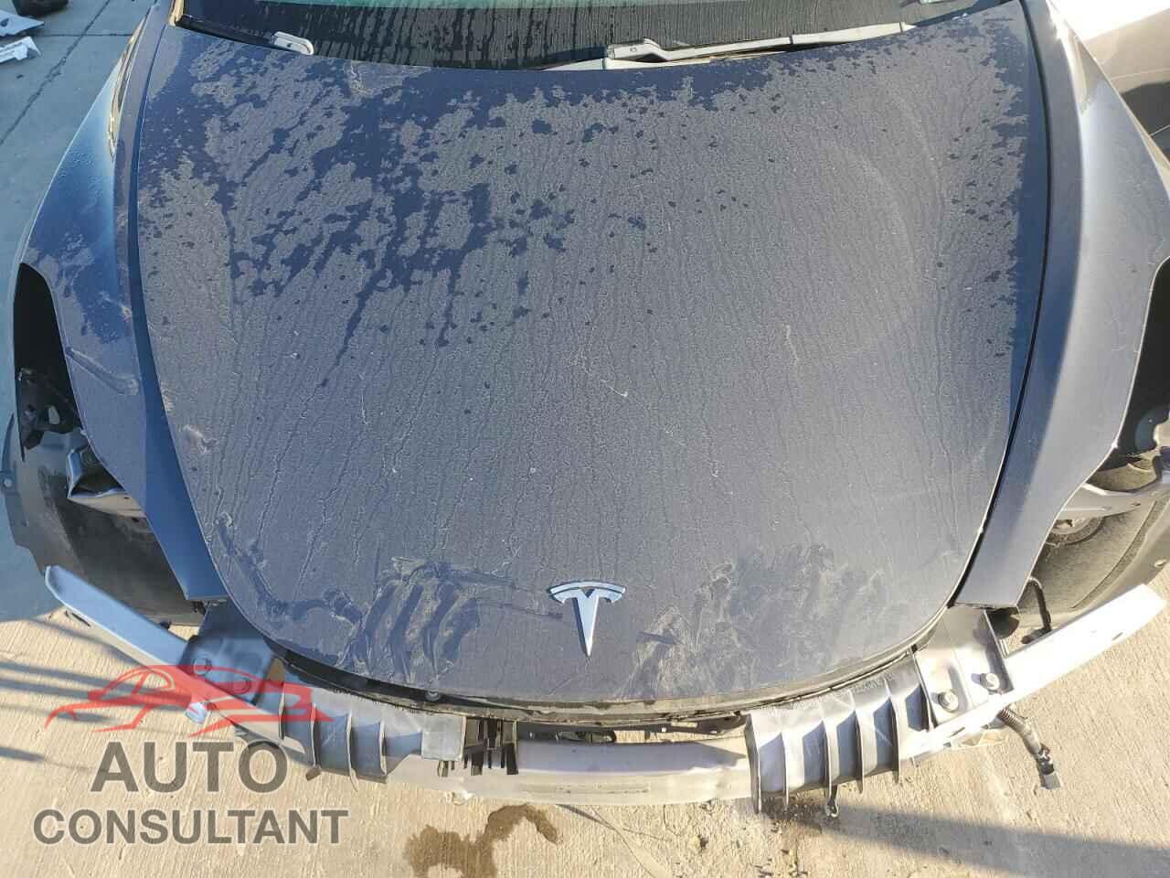 TESLA MODEL 3 2021 - 5YJ3E1EA8MF976413
