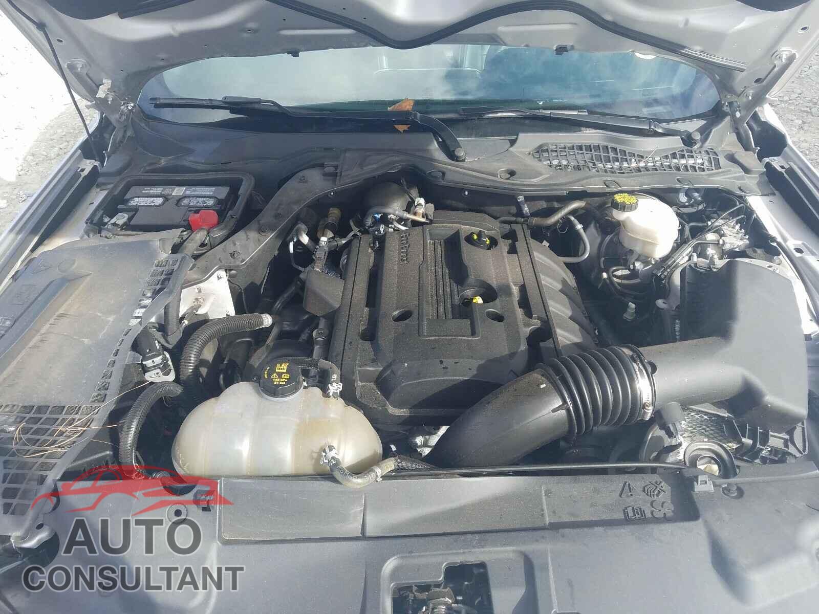 FORD MUSTANG 2018 - 1FA6P8TH7J5115615