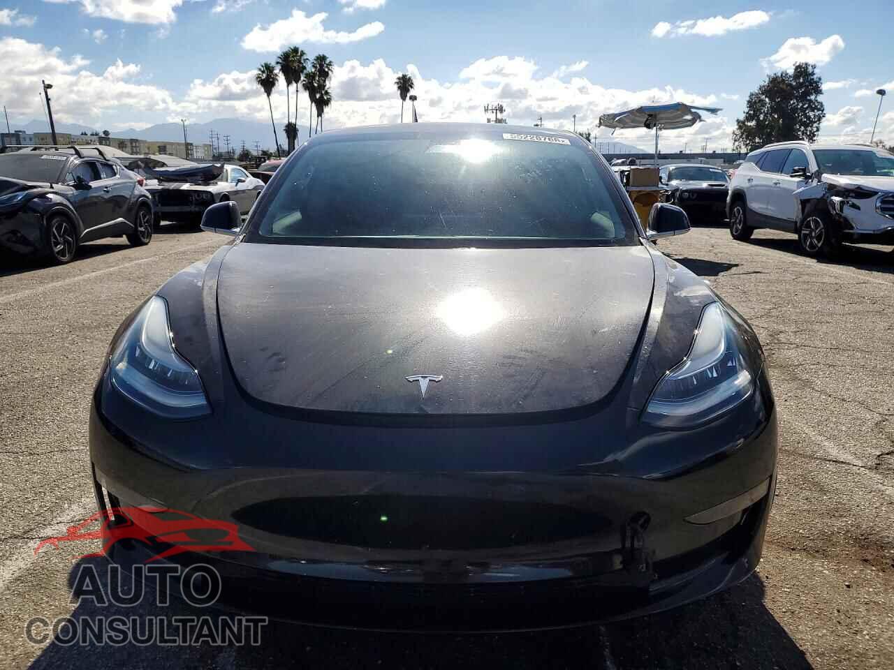TESLA MODEL 3 2019 - 5YJ3E1EA3KF421141