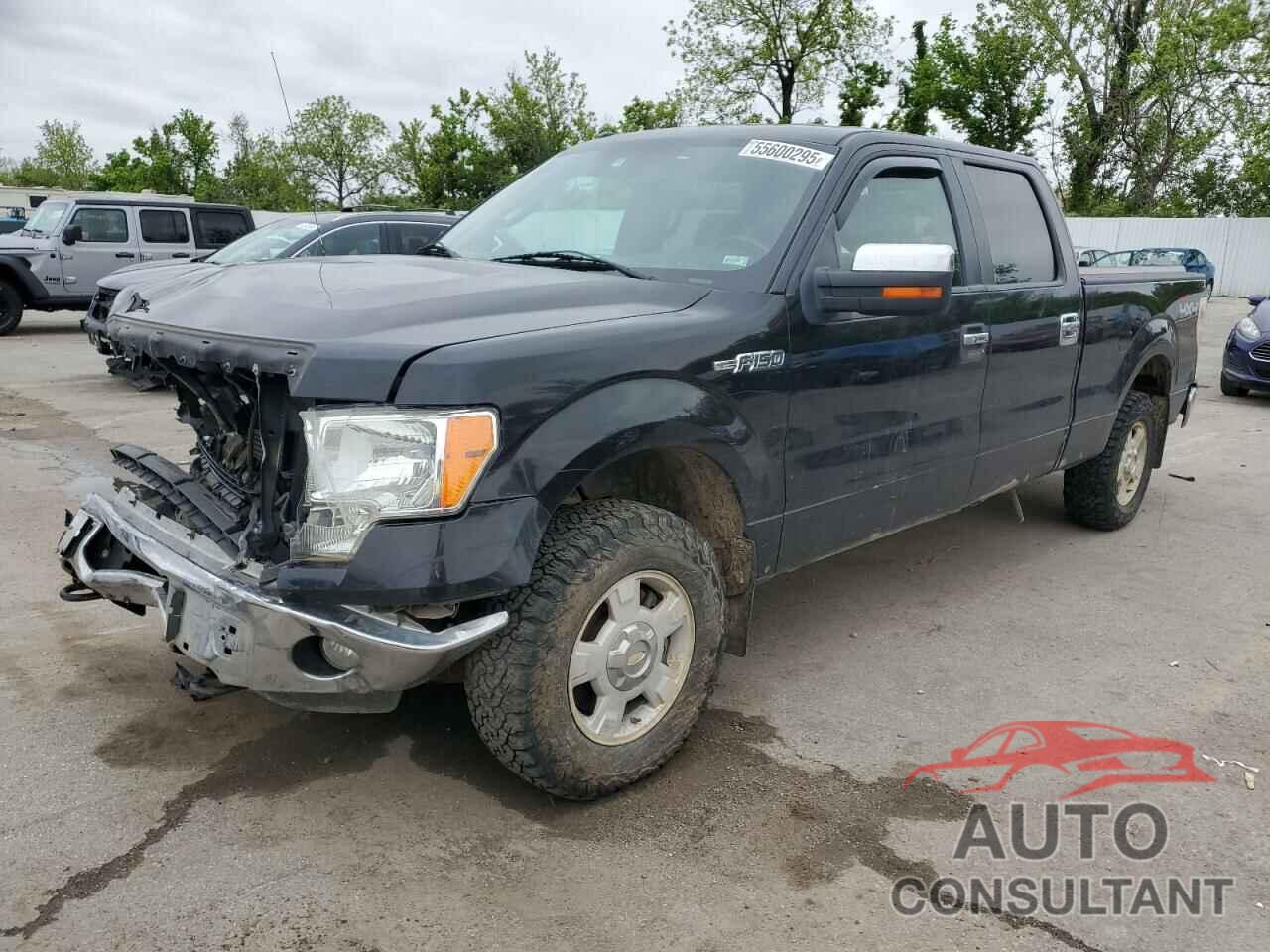 FORD F-150 2013 - 1FTFW1EF9DFC58693