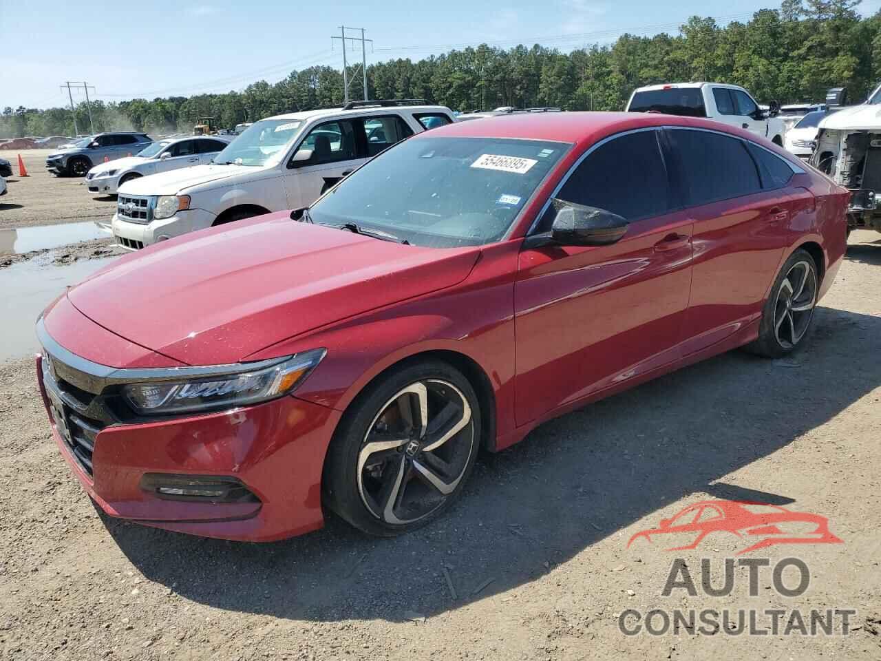 HONDA ACCORD 2019 - 1HGCV1F3XKA012144