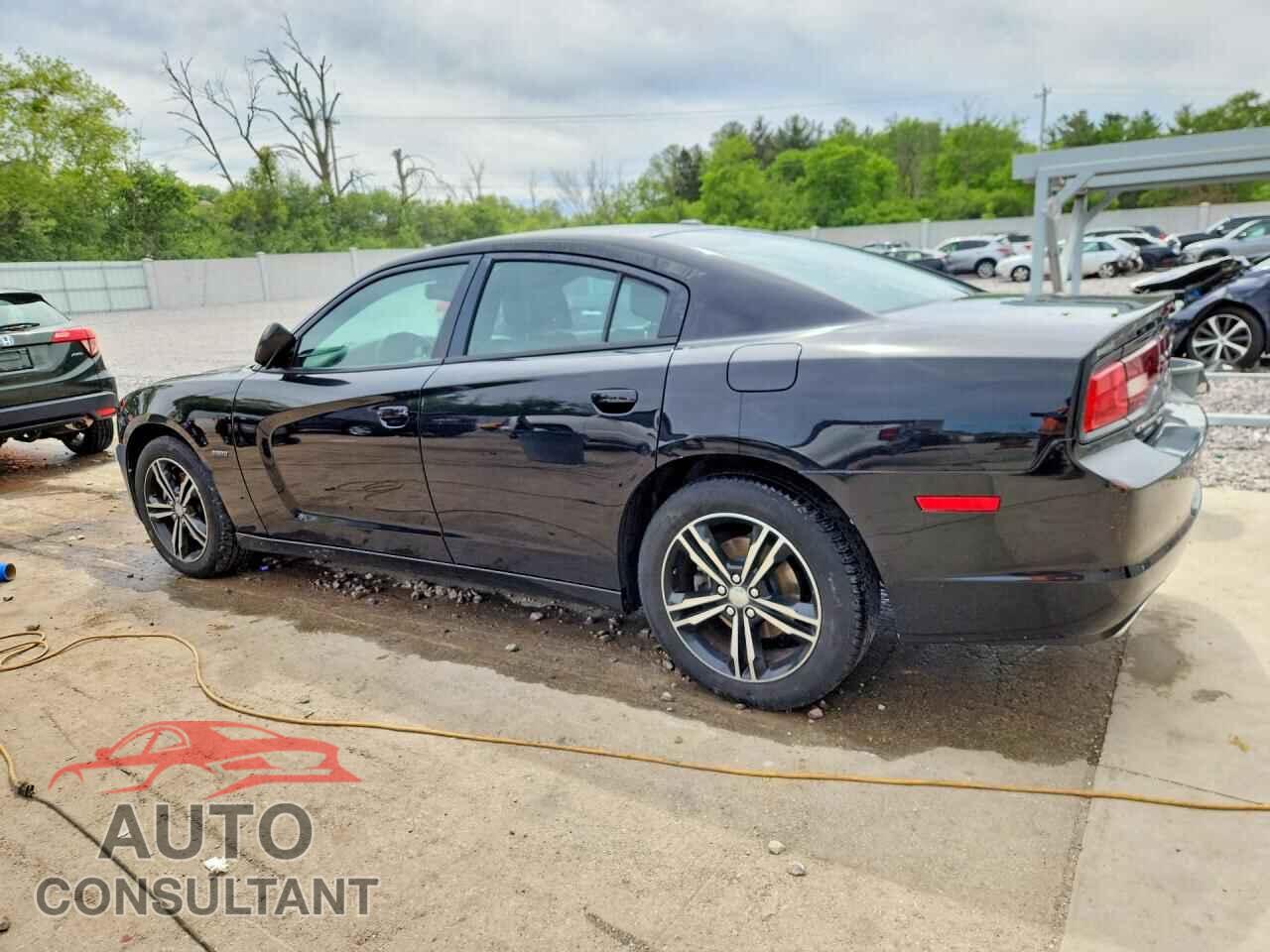 DODGE CHARGER 2014 - 2C3CDXDT2EH341356