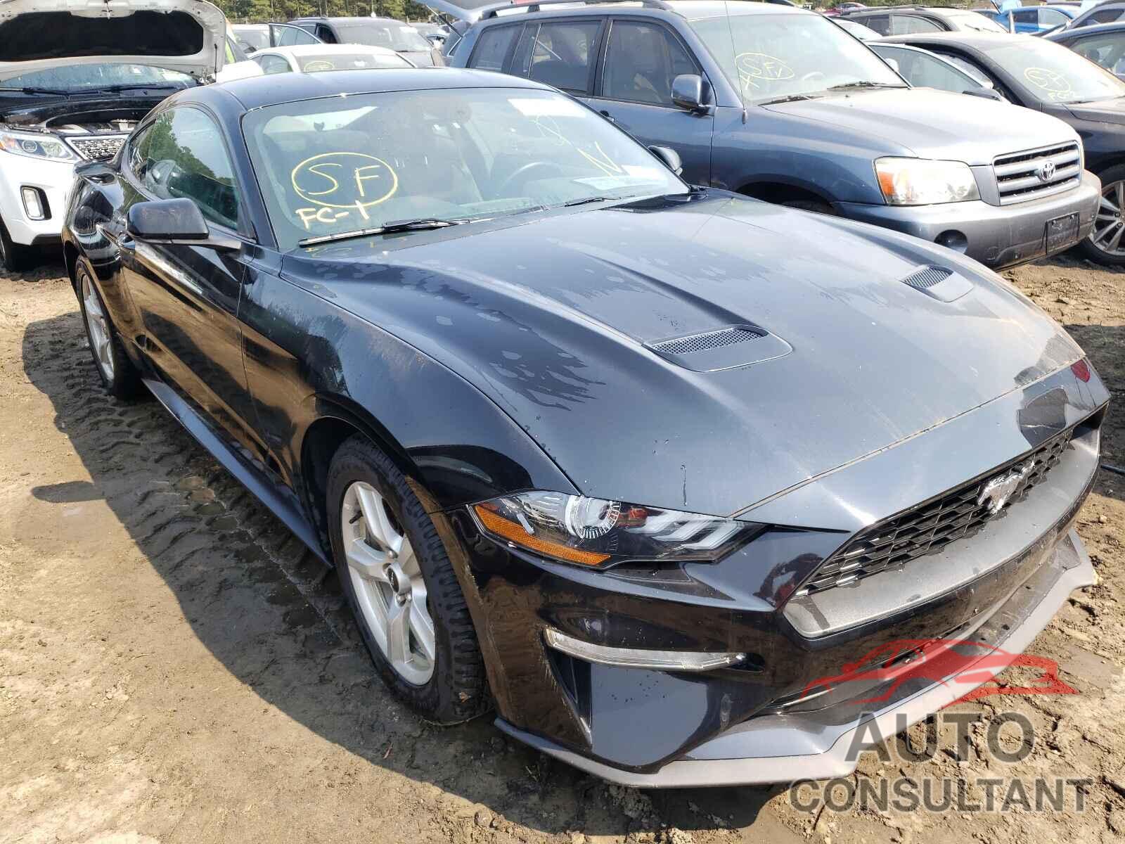 FORD MUSTANG 2019 - 1FA6P8TH5K5173188