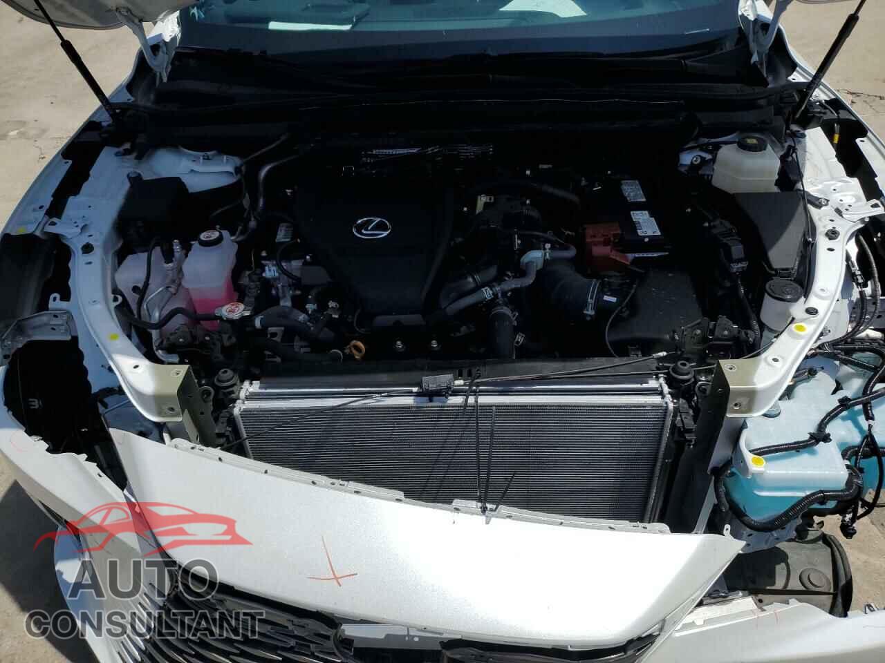 LEXUS RX350 2023 - 2T2BAMBA0PC011725