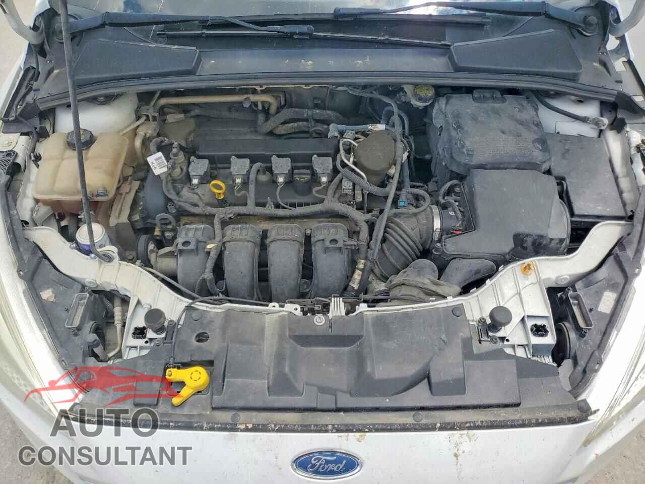 FORD FOCUS 2016 - 1FADP3F29GL271063