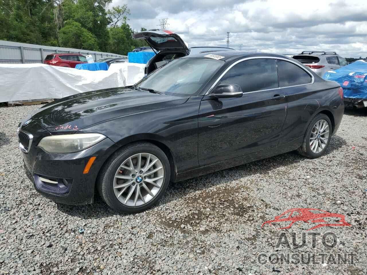 BMW 2 SERIES 2016 - WBA1F9C5XGV546524
