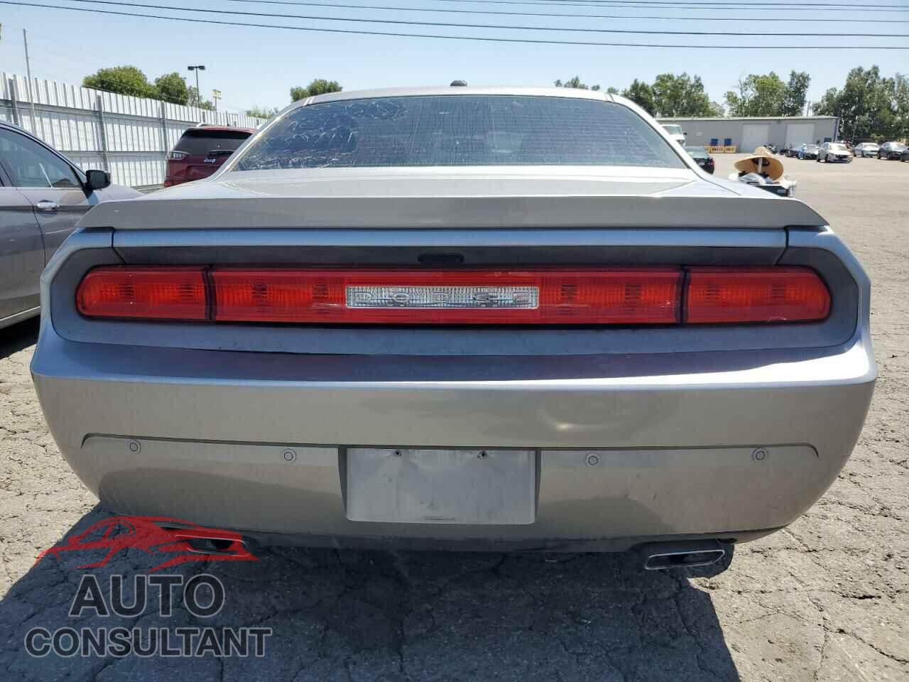 DODGE CHALLENGER 2013 - 2C3CDYAG2DH616154