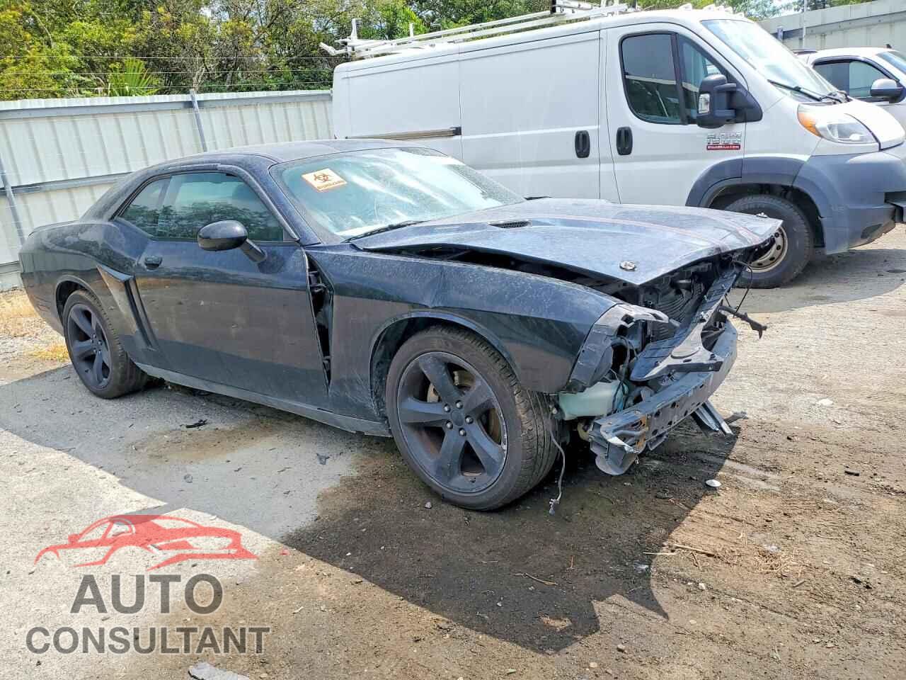 DODGE CHALLENGER 2013 - 2C3CDYBT5DH685657