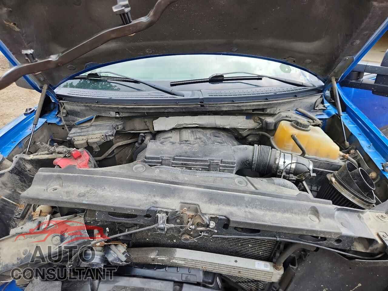 FORD F150 2013 - 1FTFX1ET0DFD43974