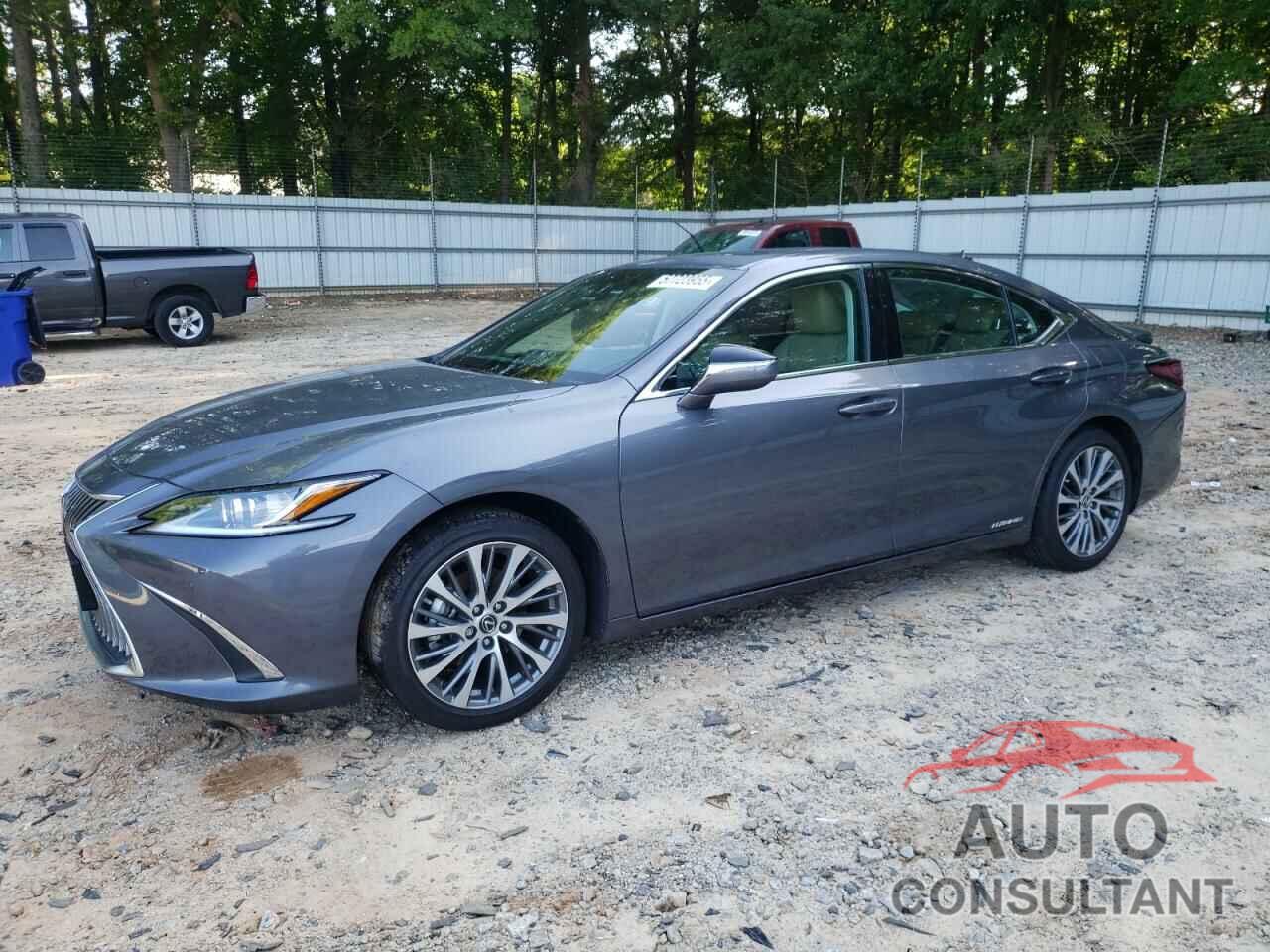 LEXUS ES300 2020 - 58AD21B14LU012466