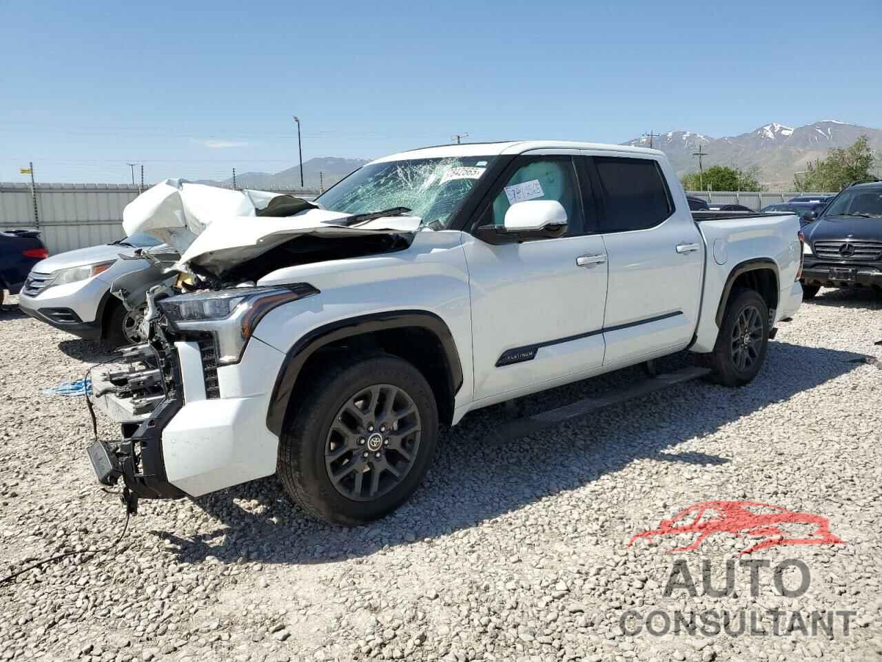 TOYOTA TUNDRA 2023 - 5TFNC5AB9PX002423