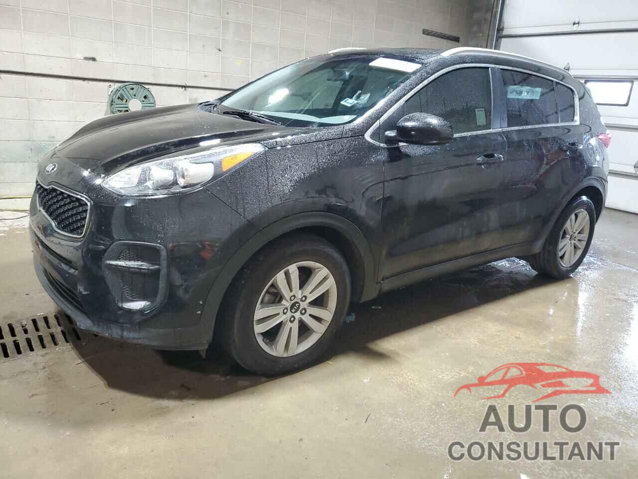 KIA SPORTAGE 2017 - KNDPM3AC3H7231331