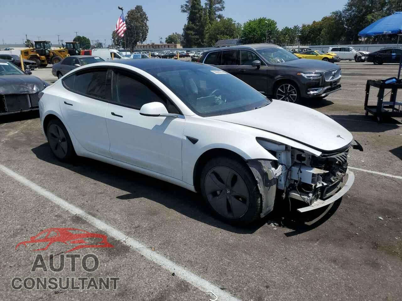 TESLA MODEL 3 2019 - 5YJ3E1EA3KF485003