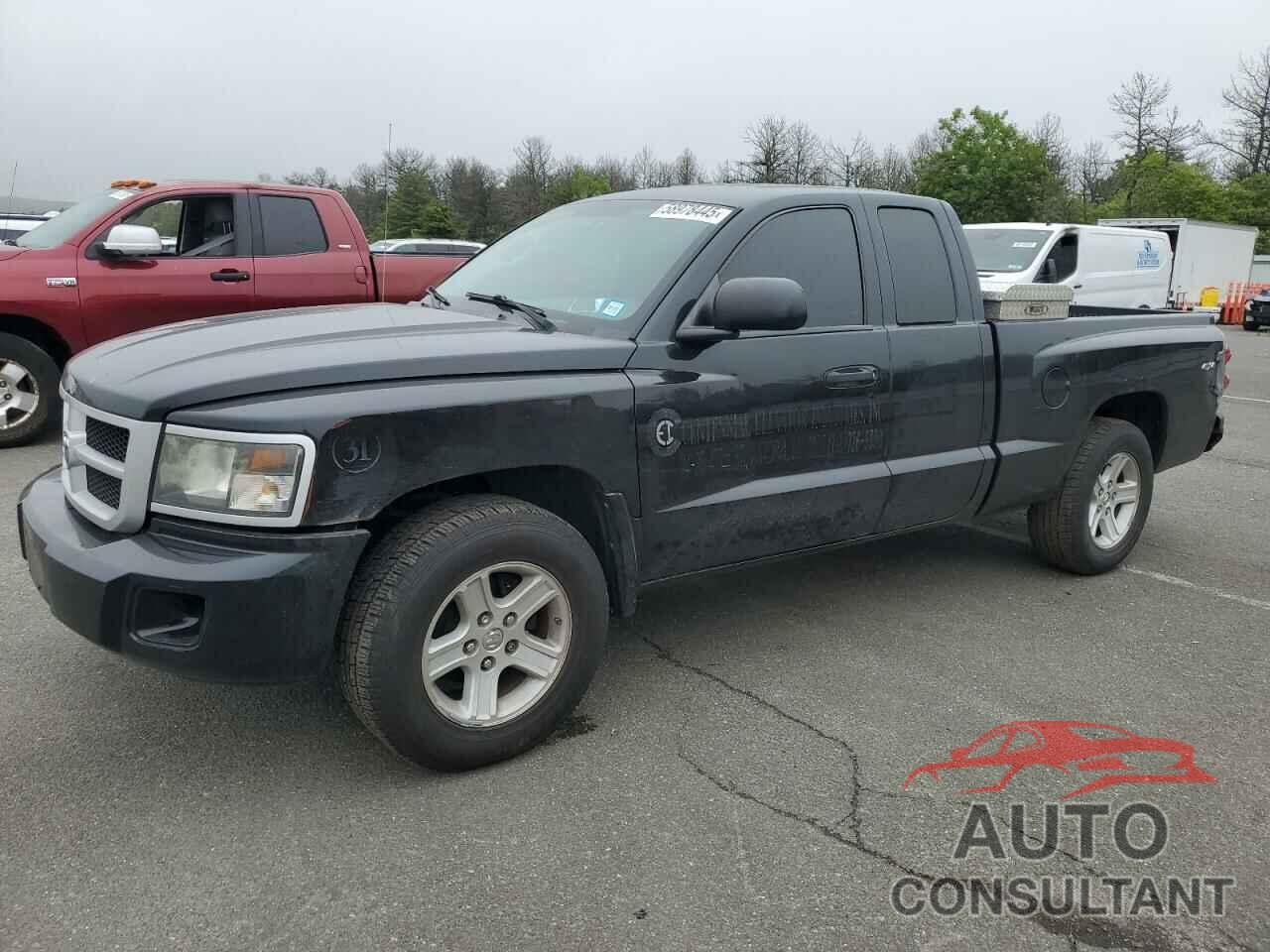 DODGE DAKOTA 2010 - 1D7CW3BK3AS104568