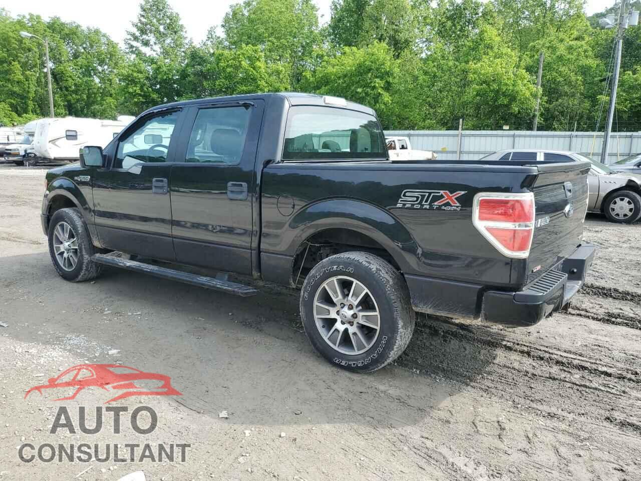 FORD F-150 2014 - 1FTFW1EF4EFB23865