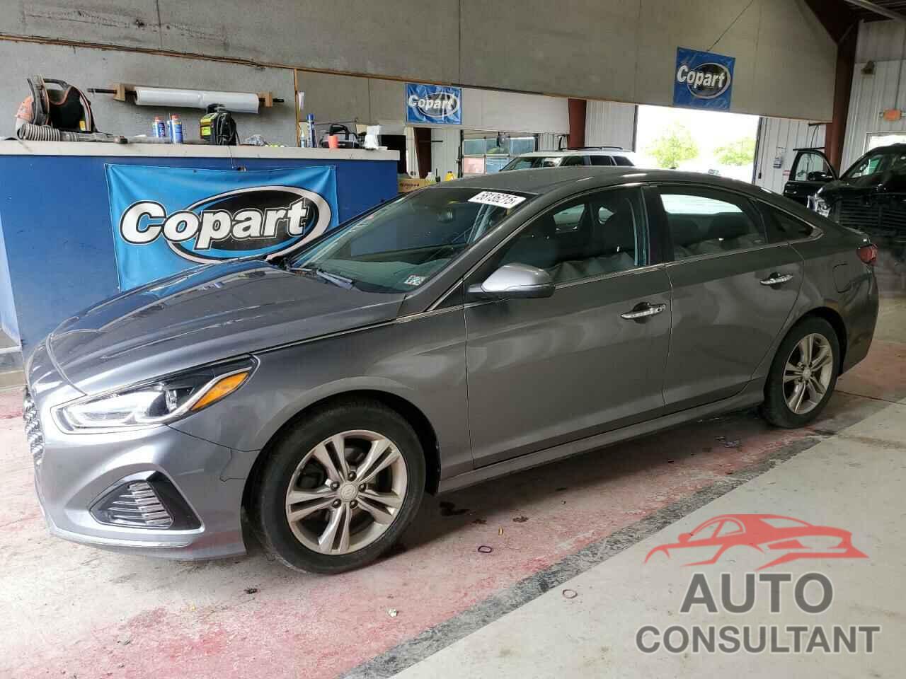 HYUNDAI SONATA 2019 - 5NPE34AF8KH735466