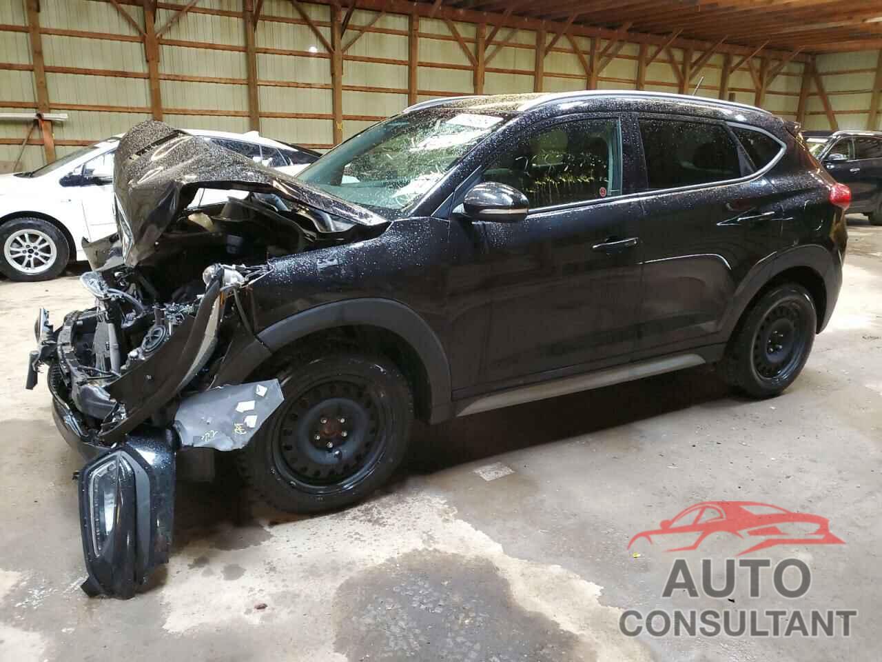 HYUNDAI TUCSON 2017 - KM8J33A42HU521493
