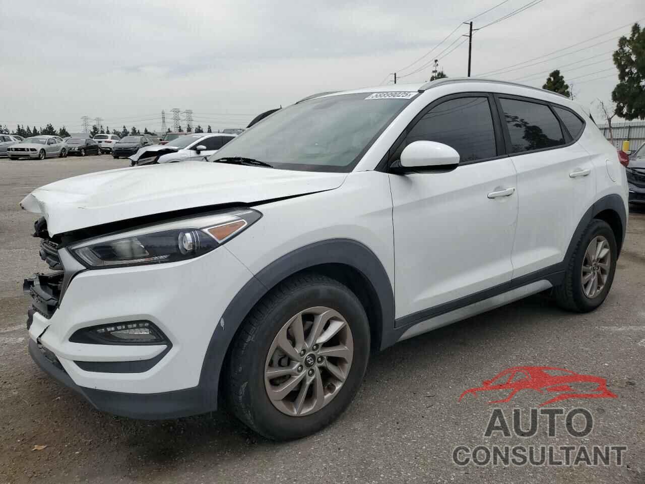 HYUNDAI TUCSON 2018 - KM8J33A45JU719183