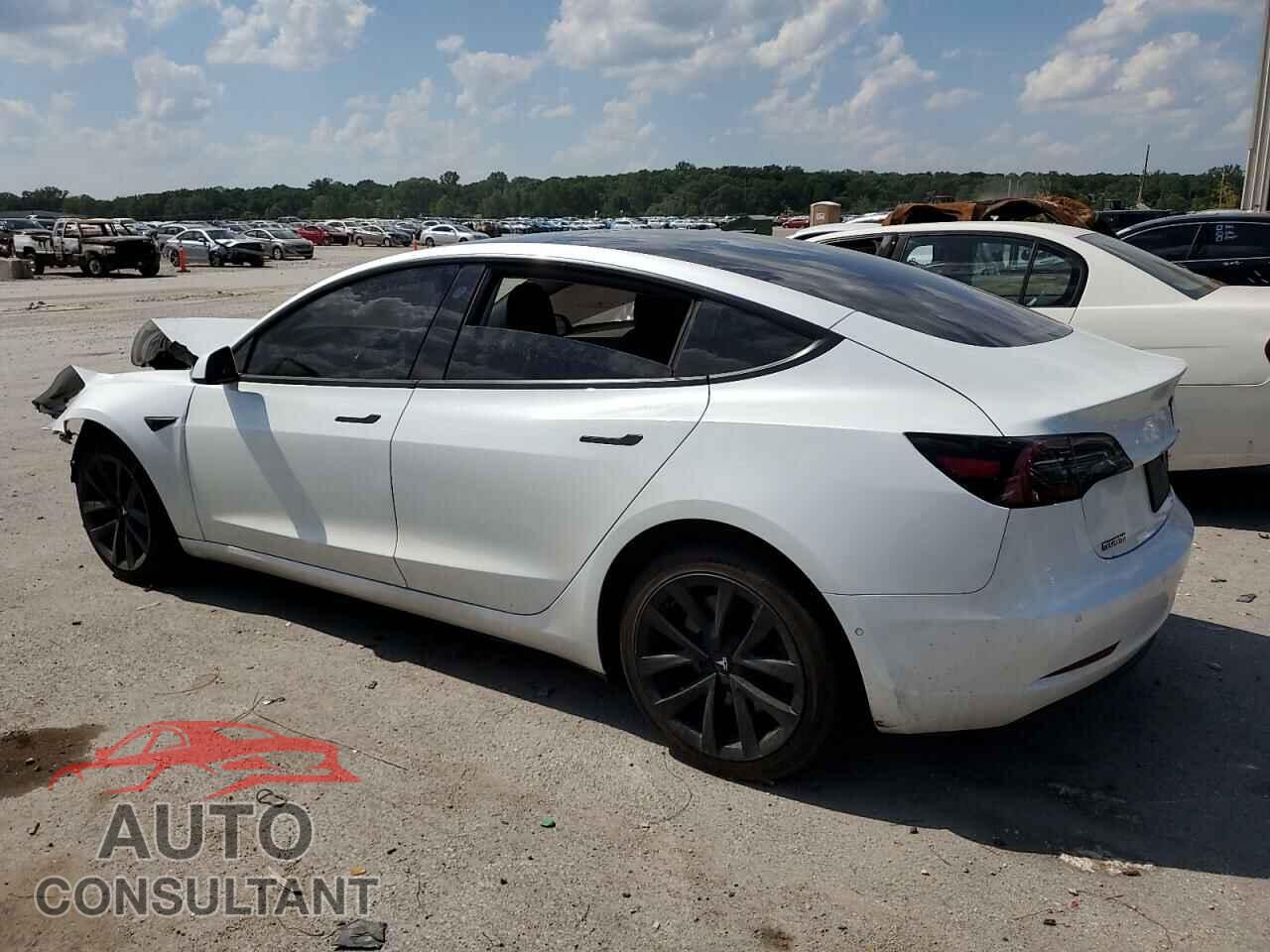 TESLA MODEL 3 2019 - 5YJ3E1EB4KF388434