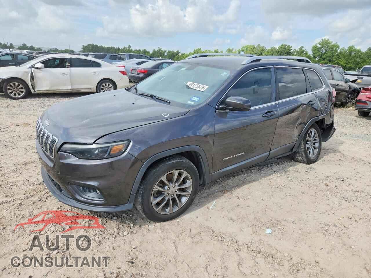 JEEP CHEROKEE 2019 - 1C4PJLLB5KD485452