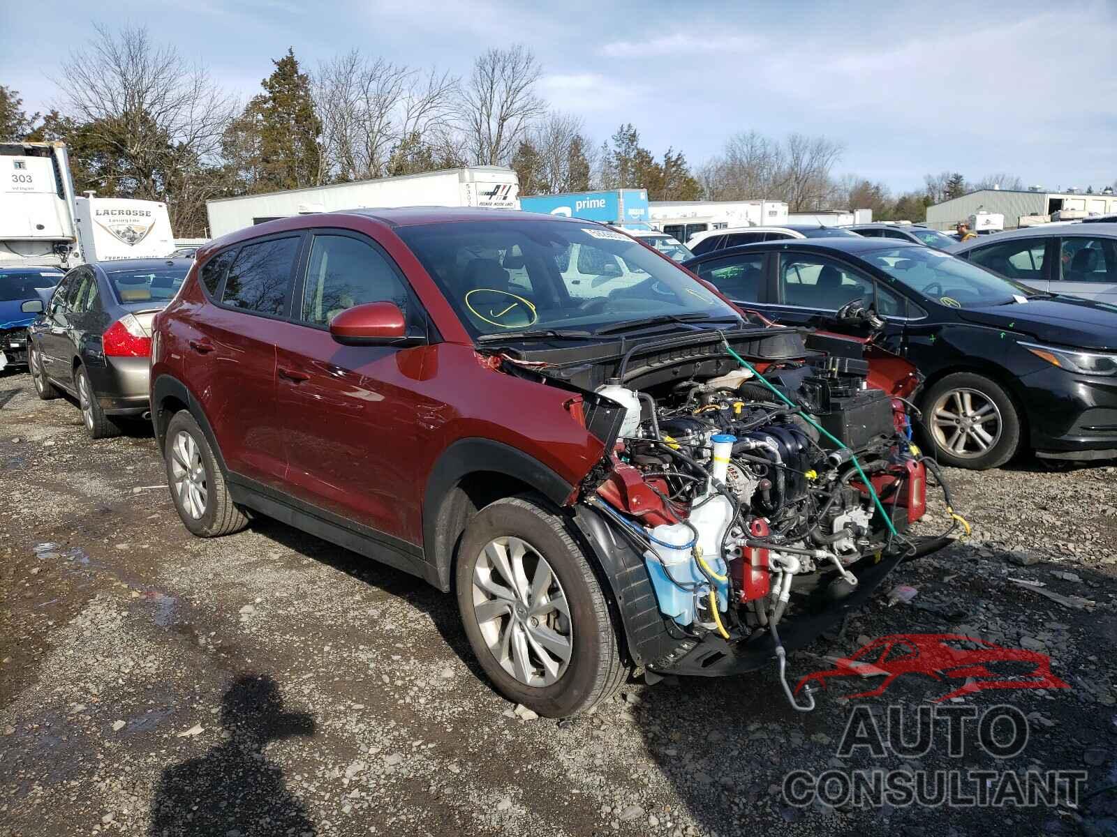 HYUNDAI TUCSON 2019 - KM8J2CA41KU998846