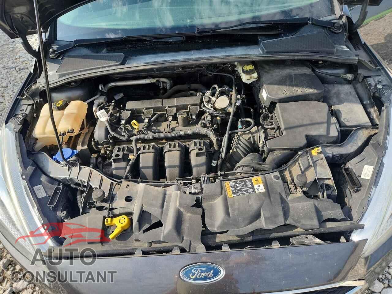 FORD FOCUS 2017 - 1FADP3F29HL213942