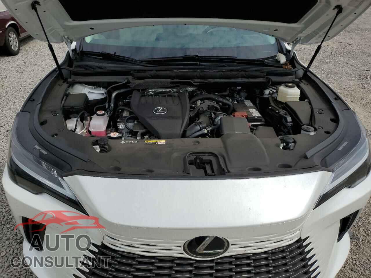 LEXUS RX350 2023 - 2T2BAMCA0PC024960