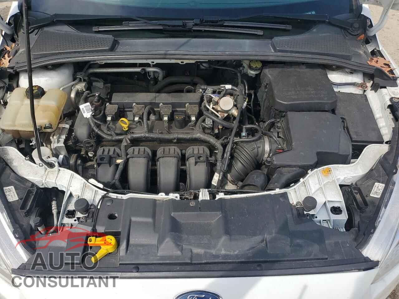 FORD FOCUS 2016 - 1FADP3F27GL367399