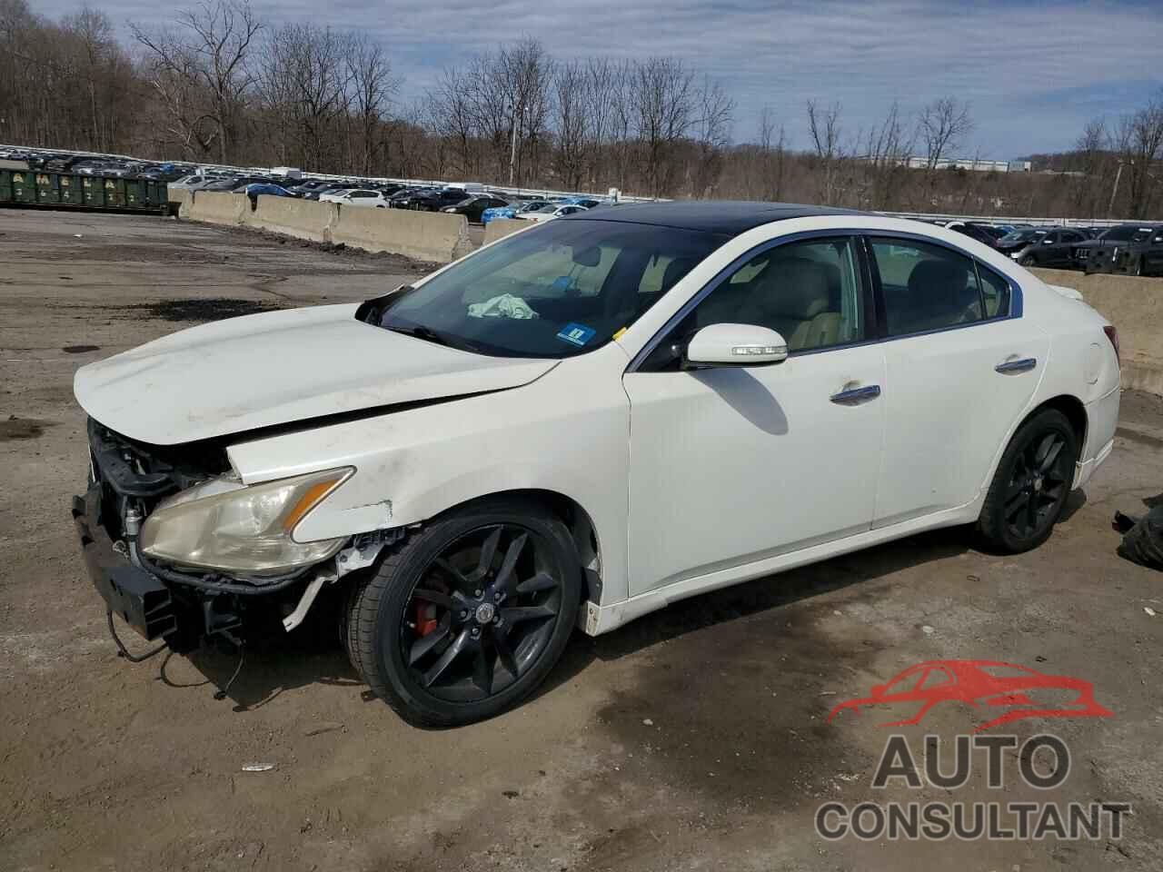 NISSAN MAXIMA 2009 - 1N4AA51E39C800933