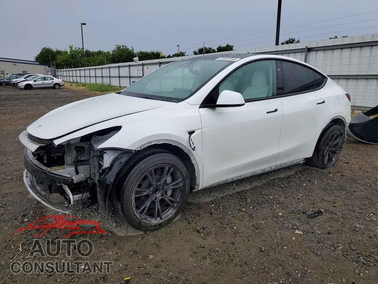 TESLA MODEL Y 2024 - 7SAYGDED3RF103674